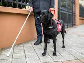 Person Being Guided by Service Dog