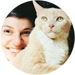 Ghaal - Domestic Shorthair