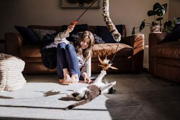 Owner playing with kitten
