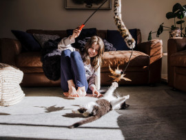 Owner playing with kitten