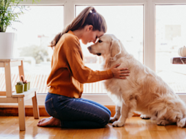 golden retriever and owner sitting on ground