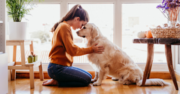 golden retriever and owner sitting on ground