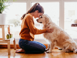 golden retriever and owner sitting on ground