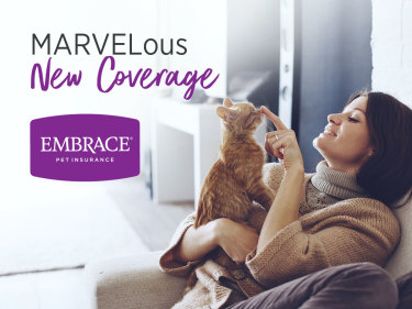 Embrace Pet Insurance April Fools