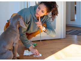 cleaning urine out of carpet