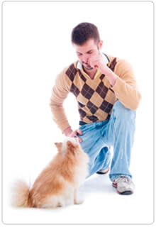 man training his dog the sit command