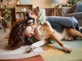 A woman with curly hair laughs as her large, tan-and-white dog sprawls across her on a colorful area rug in a cozy, well-decorated apartment — a heartwarming snapshot of what life with big dogs for apartments really looks like.