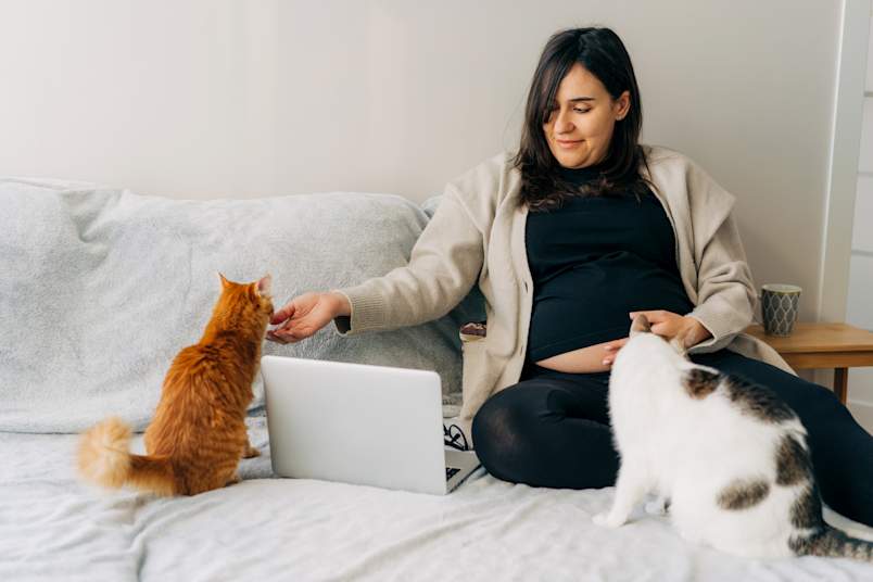 A pregnant woman sits comfortably on her bed with a laptop open in front of her, lovingly petting an orange longhaired cat with one hand while a calico cat snuggles close on the other side — a picture-perfect example of how cats and pregnancy can coexist safely and happily.