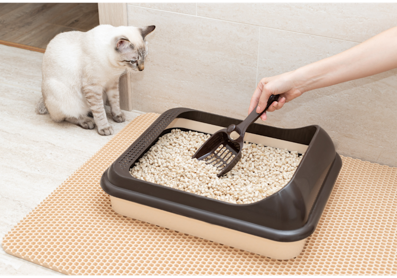 This scene illustrates how to scoop litter box effectively, which is a crucial part of learning how to clean litter box properly, and when introducing new litter, try mixing a little of the new litter with their old litter over several days to help your cat adjust to changes.