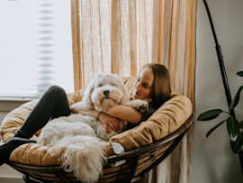 A hypoallergenic dog sitting with it's owner in a chair