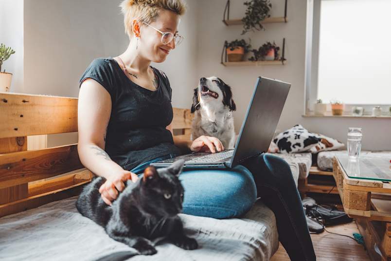 A smiling person sits on a wooden daybed with a laptop, one hand resting on a black cat while a spaniel mix looks on from beside them.