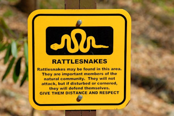 Yellow sign outdoors warning people that rattlesnakes are in the area