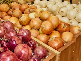 Red onions, yellow onions, and white onions can all be harmful to dogs. But regardless of the onion's color, how much onion is toxic to dogs? Even small amounts can be dangerous, so it's important to keep onions out of your dog's reach.