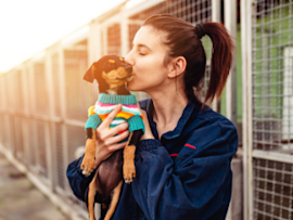 dog getting adopted from pound