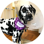 Beqa Photo_Embrace Bandana