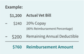 example of how a copay then deductible reimbursement works