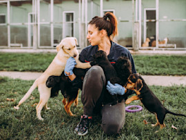 Puppy with owner