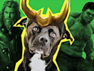 popular superhero pet names