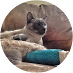 Gilbert breaks his leg