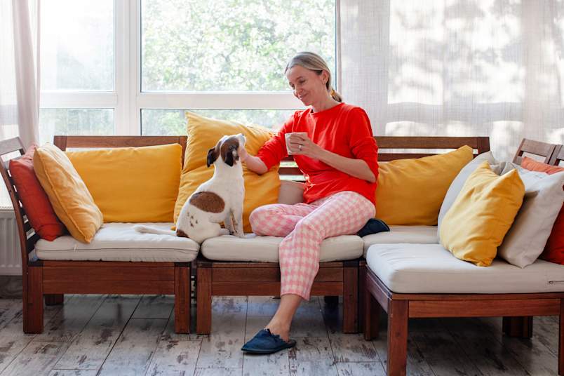 A woman in cozy loungewear sits on a sunlit sofa with a cup of coffee, petting her attentive Jack Russell terrier.