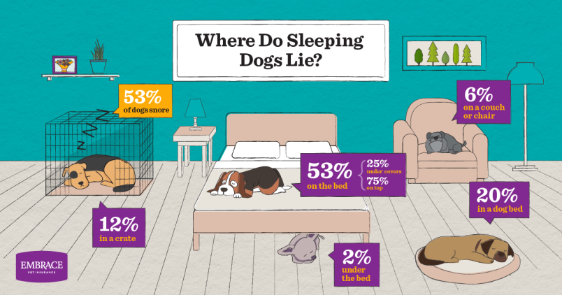 Visual representation of the statistics provided in the blog post about where dogs sleep.