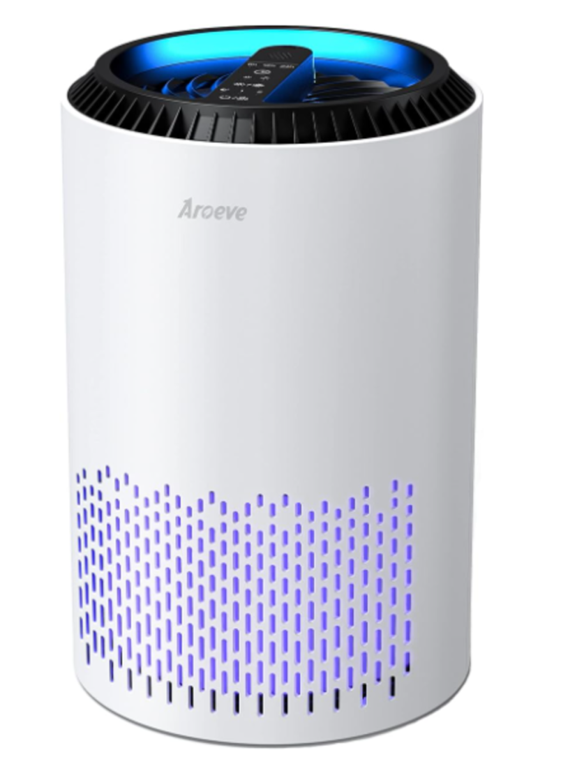 Air Purifier gift idea for dog lover