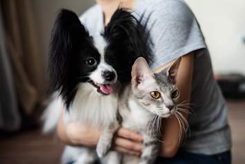 A pet owner cradles both a black-and-white papillon and a gray Devon Rex cat in their arms at home, the everyday multi-pet household that pet telehealth is built to serve.
