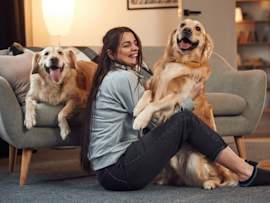 A woman sits on the living room floor between two golden retrievers, laughing as one leans into her lap and the other rests on the couch behind her.