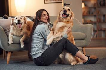 A woman sits on the living room floor between two golden retrievers, laughing as one leans into her lap and the other rests on the couch behind her.
