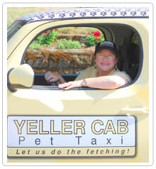 Yeller Cab, Portland