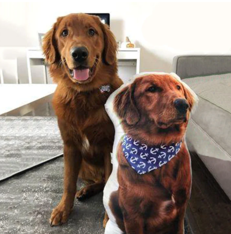 Pet Shaped Pillow gift for dogs