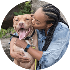 woman kissing her pit bull