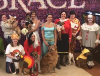 A group of Embrace employees dressed up for a Halloween party