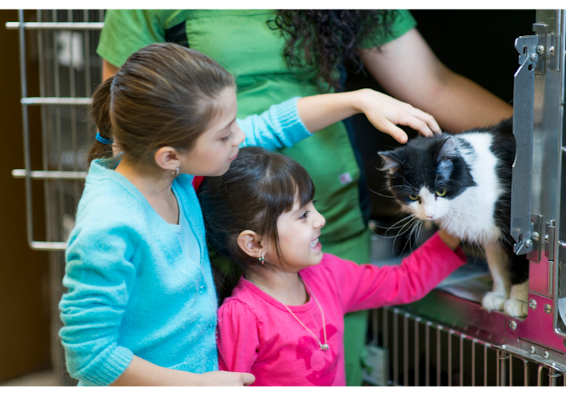 scene at an animal shelter shows a family meeting a potential feline companion, illustrating that the very first cost a pet parent incurs is associated with the facility where the cat is purchased or adopted