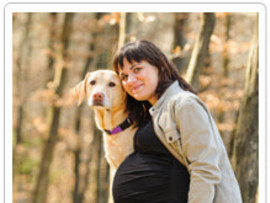 Pregnancy and Pets