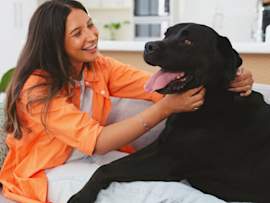 Emotional Support Animal - Dog