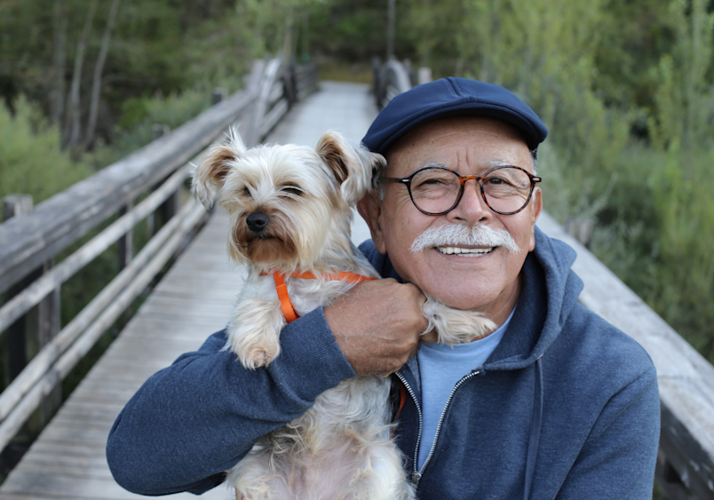 A smiling gentleman wearing a navy flat cap and cozy blue jacket proudly holds his Yorkshire Terrier while standing on a scenic wooden boardwalk surrounded by lush greenery.