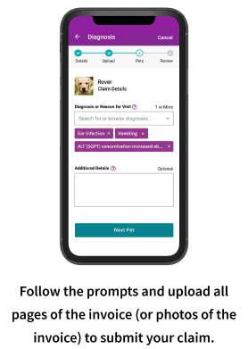 filing a claim on an iPhone through the MyEmbrace portal