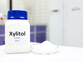 A container labeled Xylitol next to a small dish of white powder, highlighting the dangers of xylitol toxicity in dogs and the question of how much xylitol can kill a dog or cause xylitol poisoning symptoms.