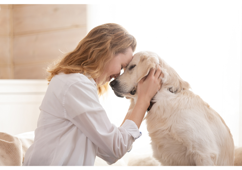 A woman shares a tender moment with her golden retriever, demonstrating the deep bond between pet parents and their beloved companions. Having insurance to help cover pet care doesn't just ease the financial burden.