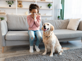 A woman sitting on a gray couch appears to be sneezing or coughing into her hands while a Golden Retriever sits attentively beside her, raising the common question of "can dogs get the flu from humans?"