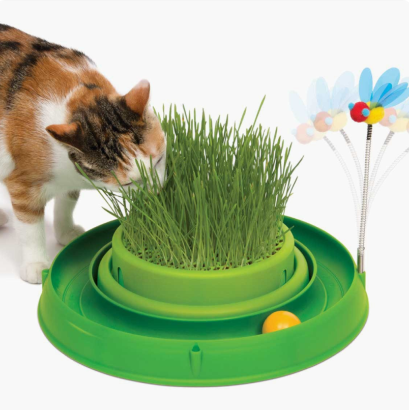 Circuit Ball with Grass Planter cat gift idea