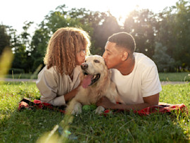 A dog sitting with it's pet parents in a field getting ready for his dog dna test.