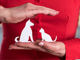 what does pet insurance cover