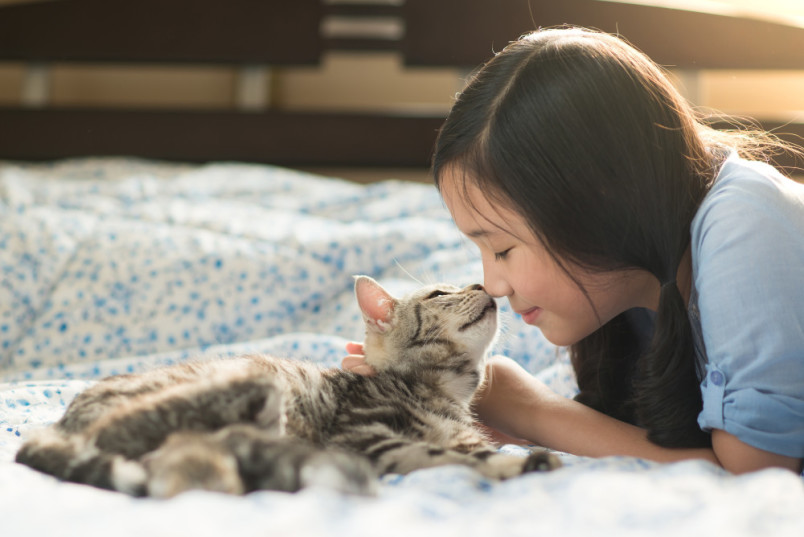 Girl cat with owner