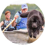 Mariner - Newfoundland