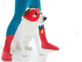 dog-superhero