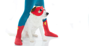 dog-superhero