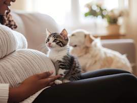 Title: Cats and Pregnancy: What Expecting Mothers Need to Know About Living with Pets
Description: A pregnant woman relaxes on the couch with an adorable tabby kitten perched beside her baby bump while a dog rests softly in the background — a warm snapshot of what life looks like for many expecting pet parents navigating pets and pregnancy.