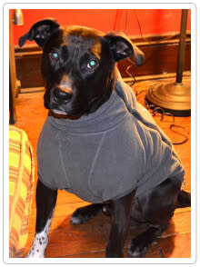 Ruffwear Climate Changer